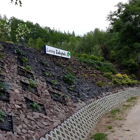 Ferienhaus Lesny Zakatek-domek Dab Parchowo
