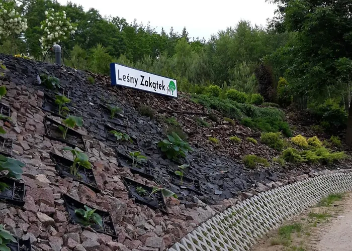 Semesterbostad Lesny Zakatek-domek Dab Parchowo